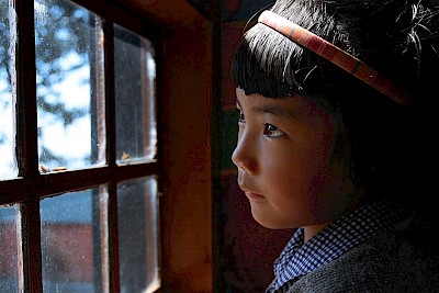 Girl at the window